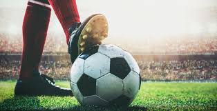 交流与合作 交流与合作