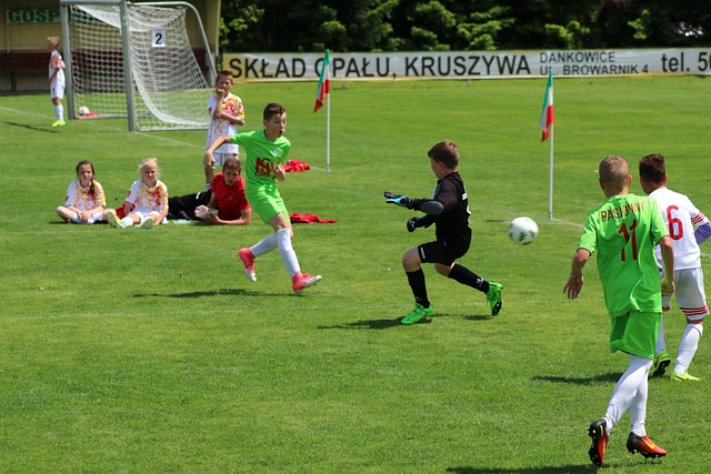 主要表现为 主要表现为