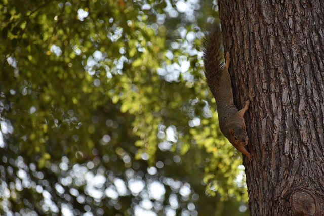让你步伐更 让你步伐更