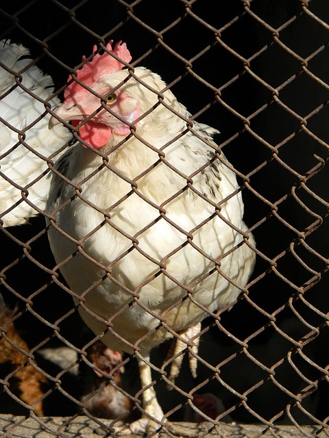 继续保持强 继续保持强